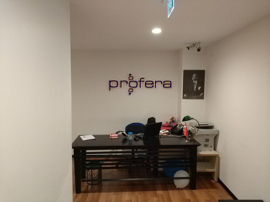 Business consulting Profera Consulting, Istanbul, photo