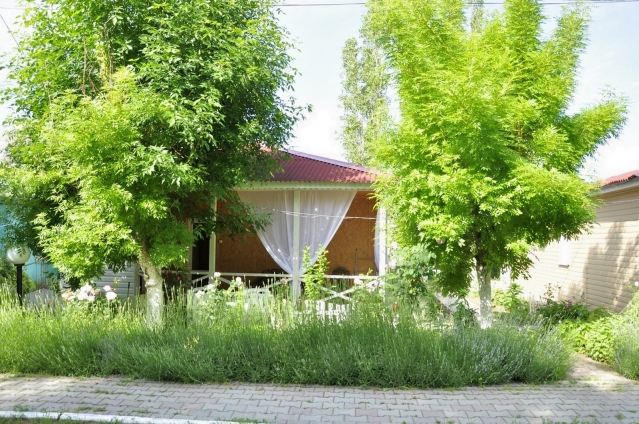 Фото Песчаный берег