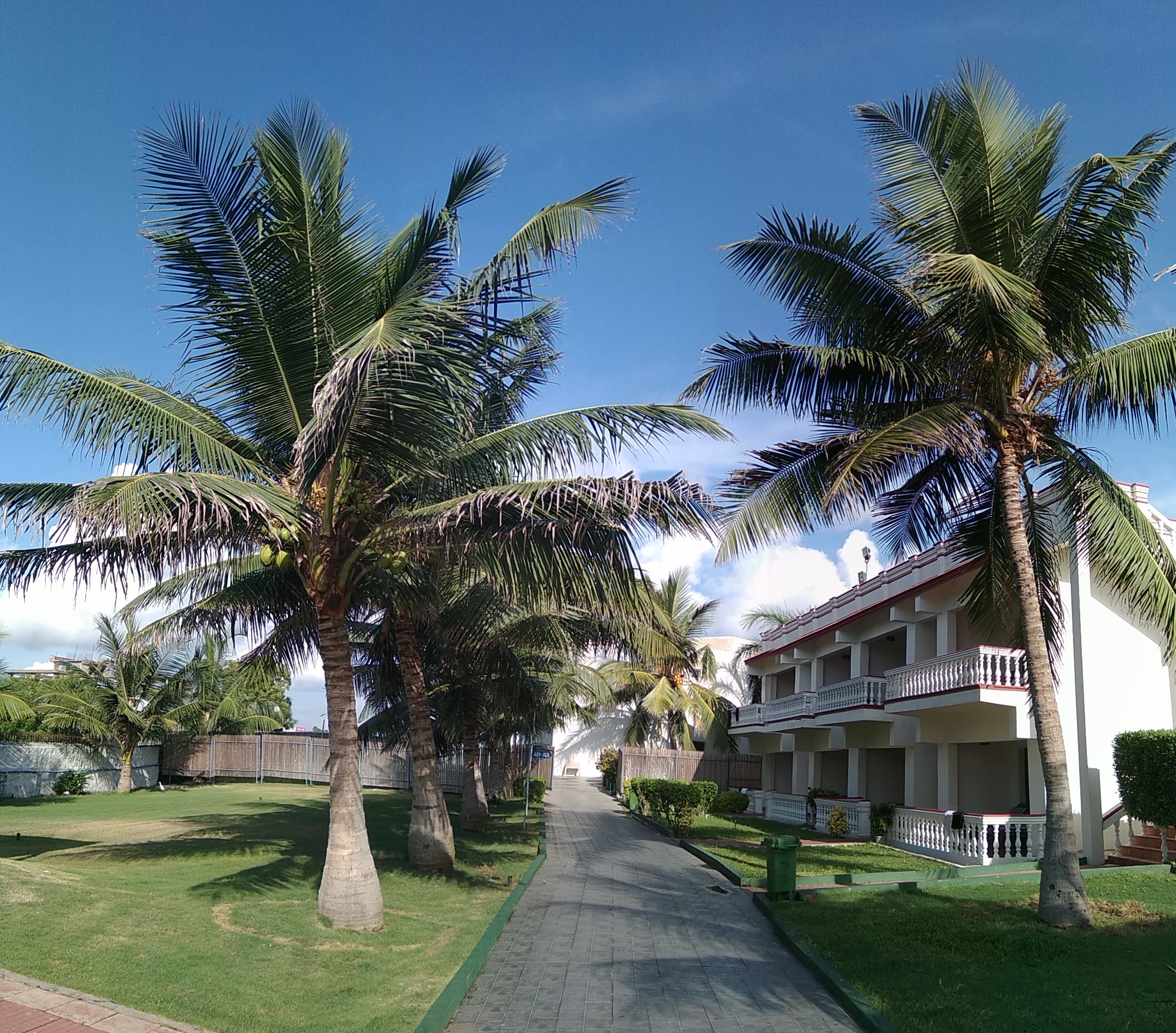 Фото Ideal Beach Resort