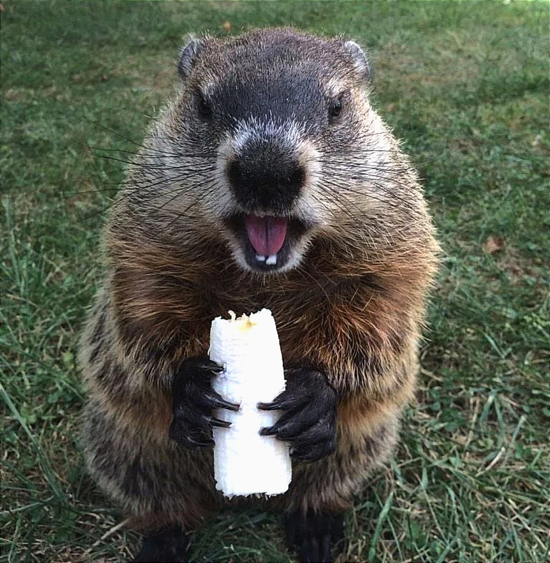 Фото Золотая бухта