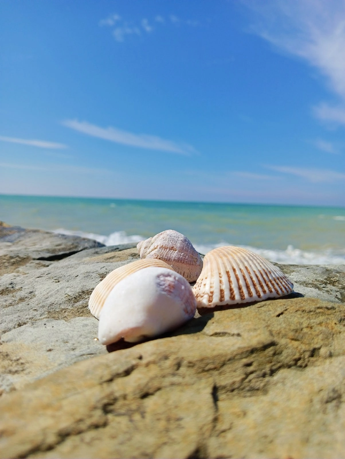 Фото Галина