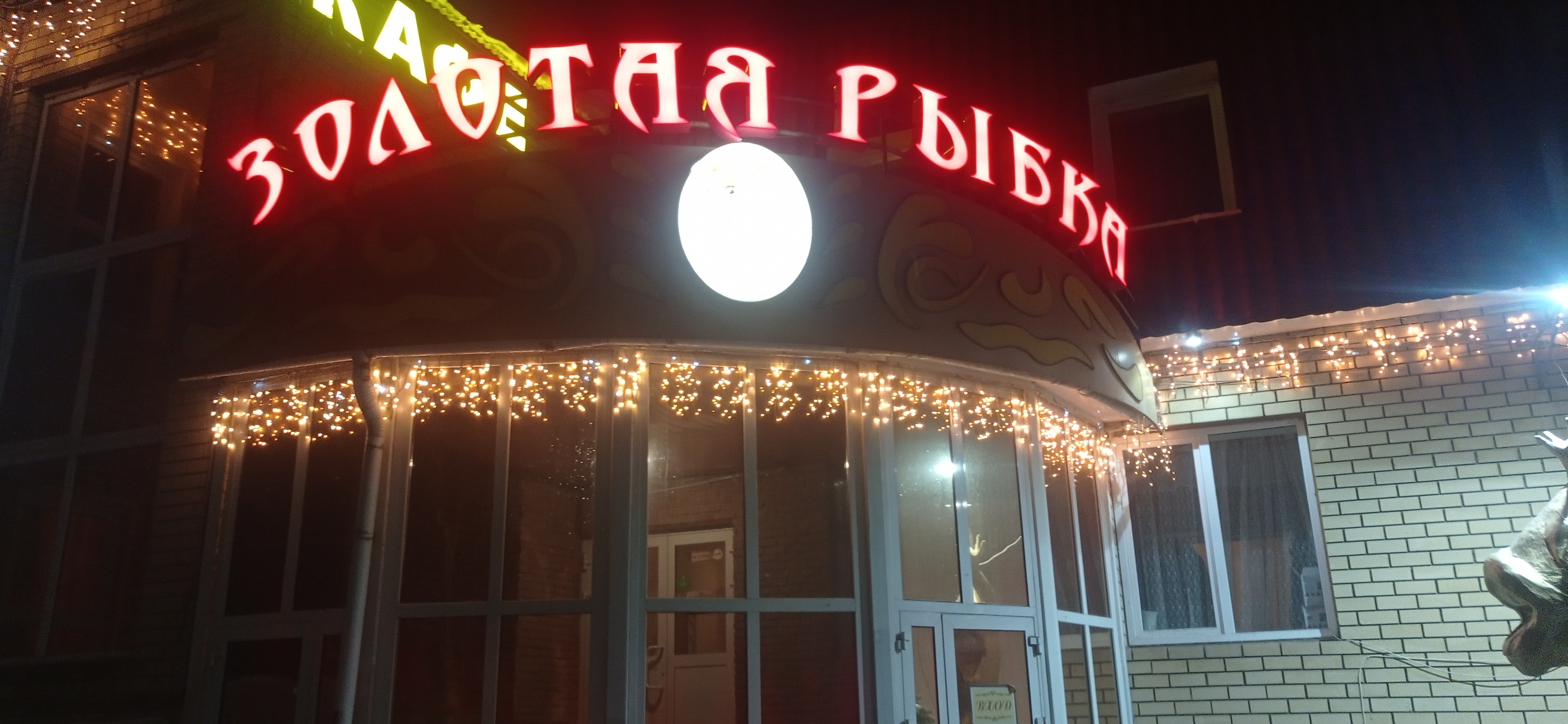 Фото Золотая рыбка