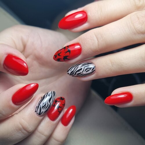 صالون العناية بالأظافر Nailslana ، موسكو ومحافظة موسكو، صورة