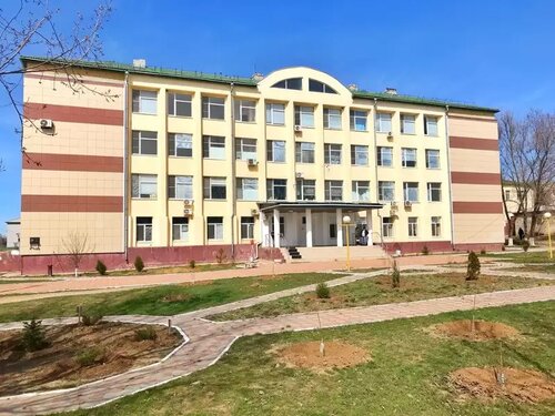 Hospital para adultos Ketchenerovskaya Tsentralnaya Rayonnaya bolnitsa, , foto