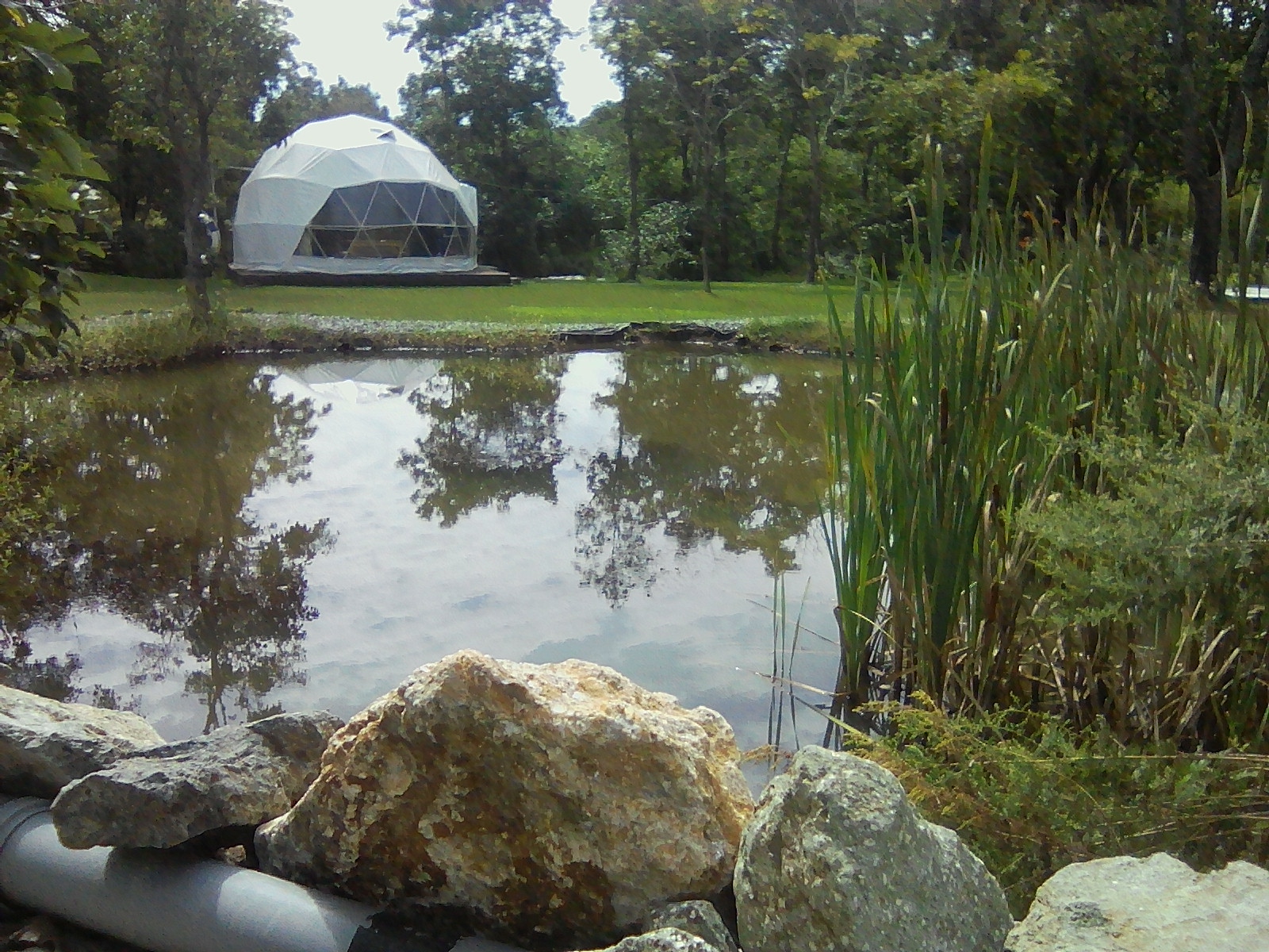 Фото Граф Потоцкий