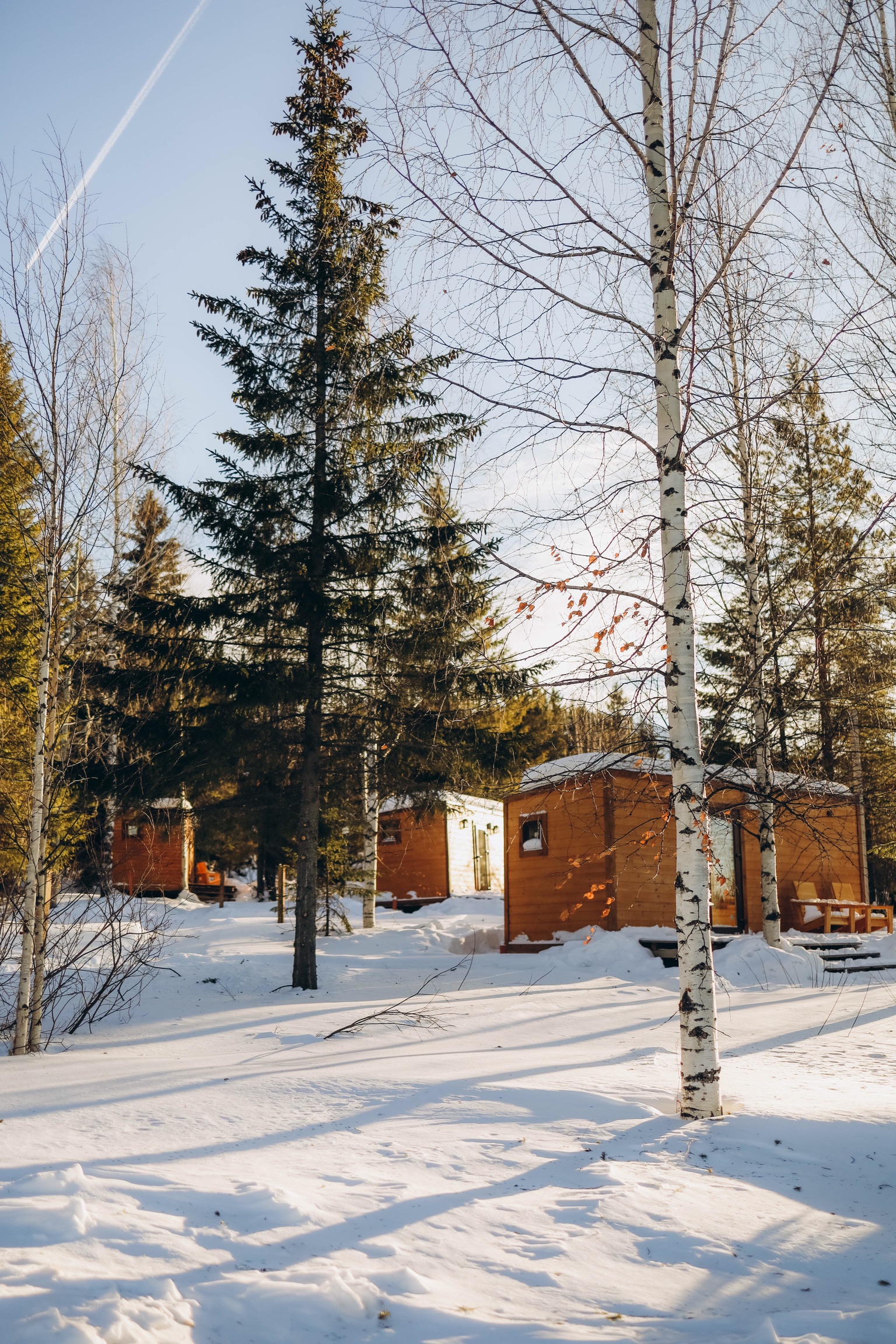 Фото Крепкие кровати