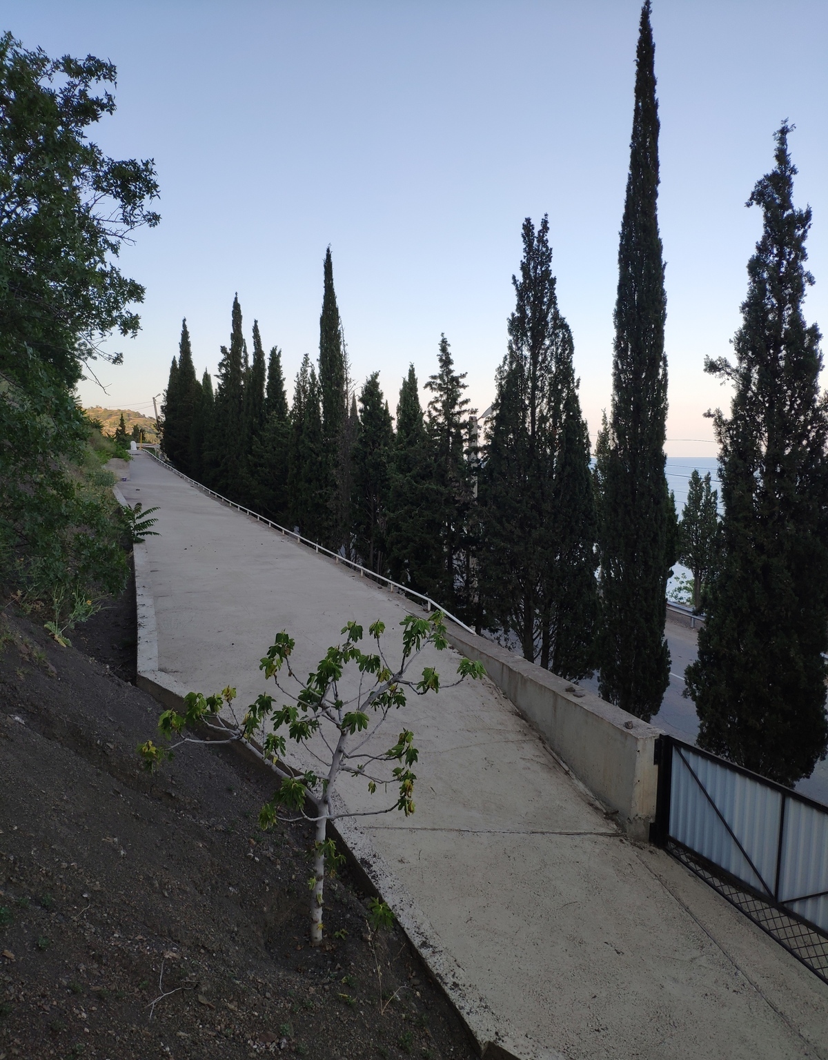 Фото Панорама