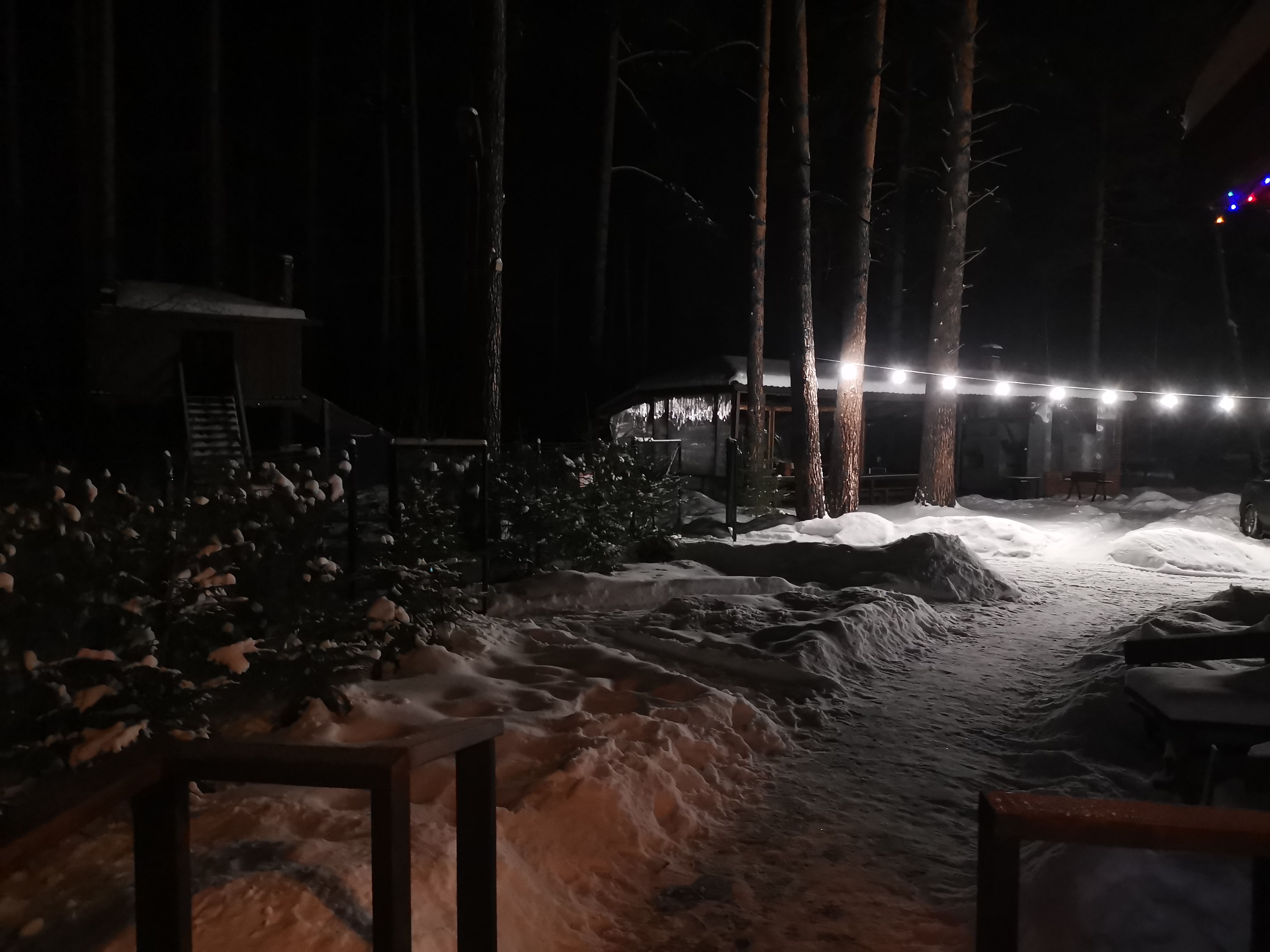 Фото Дача в соснах