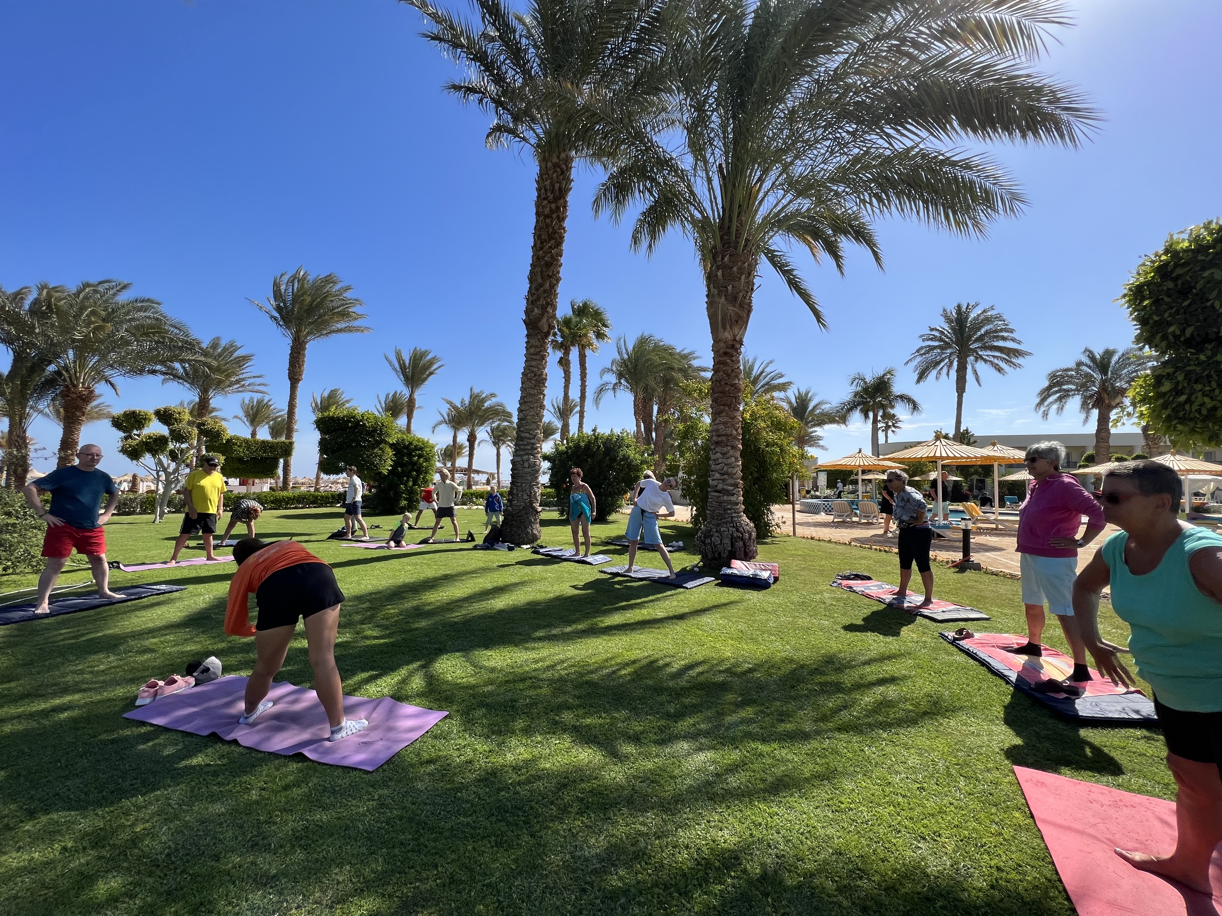 Фото JAZ Royal Palmariva