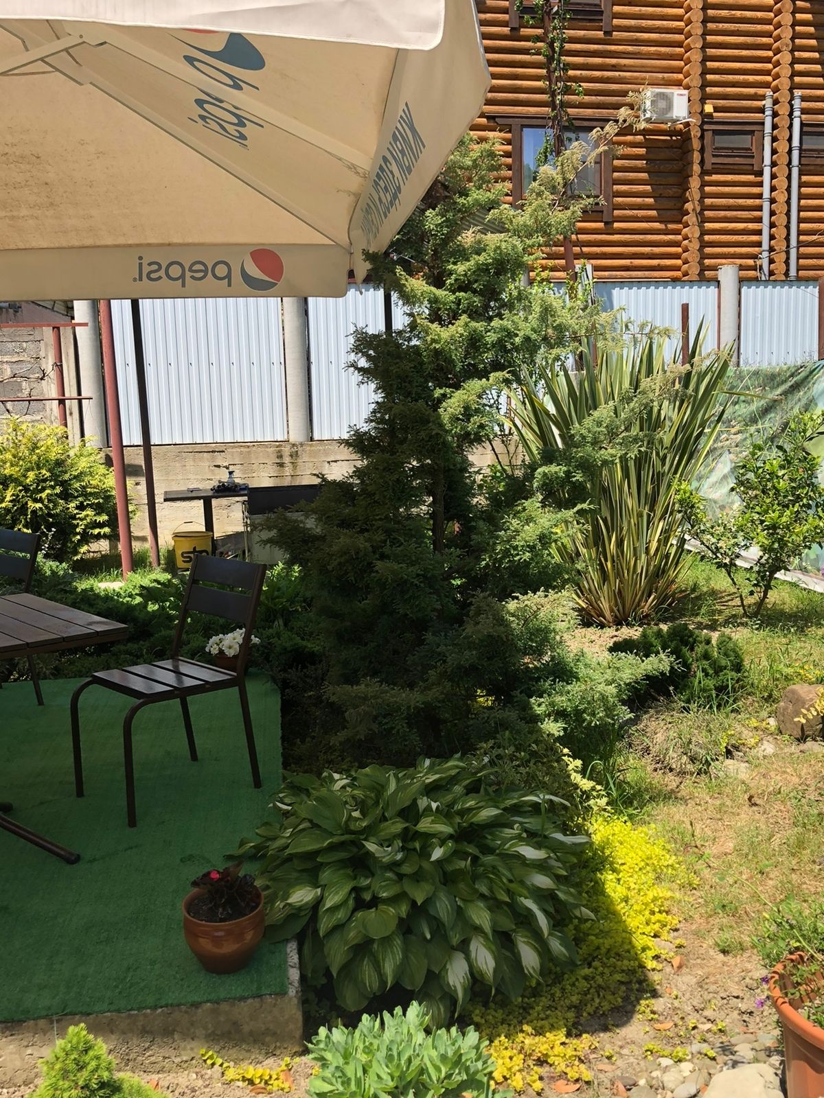 Фото Енисей