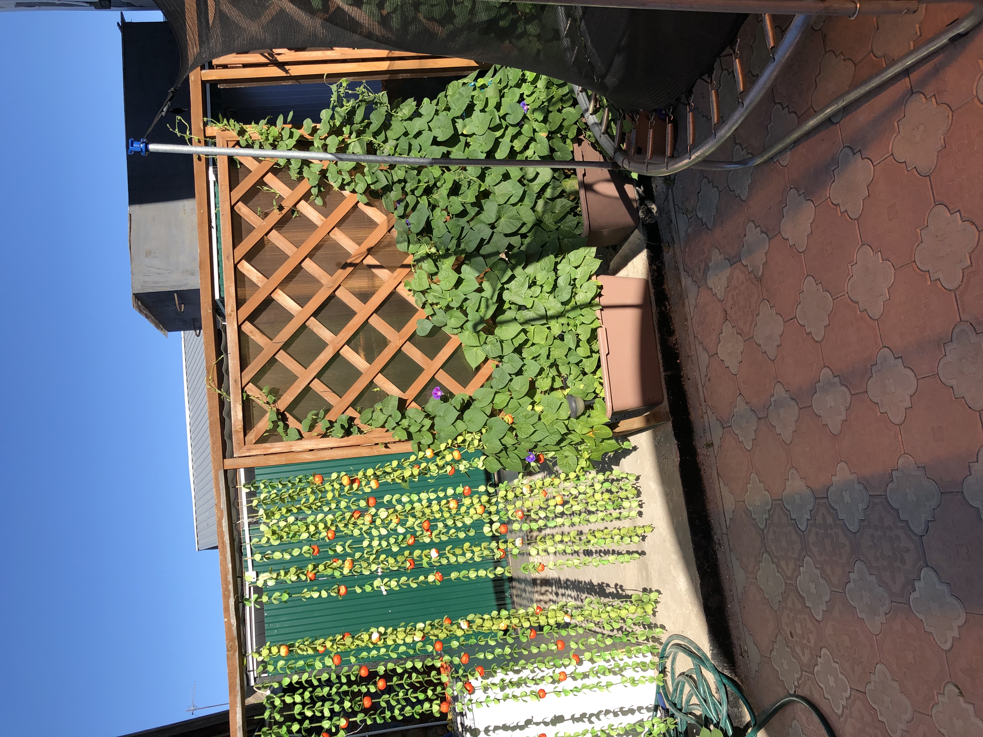 Фото Да.., Мир!