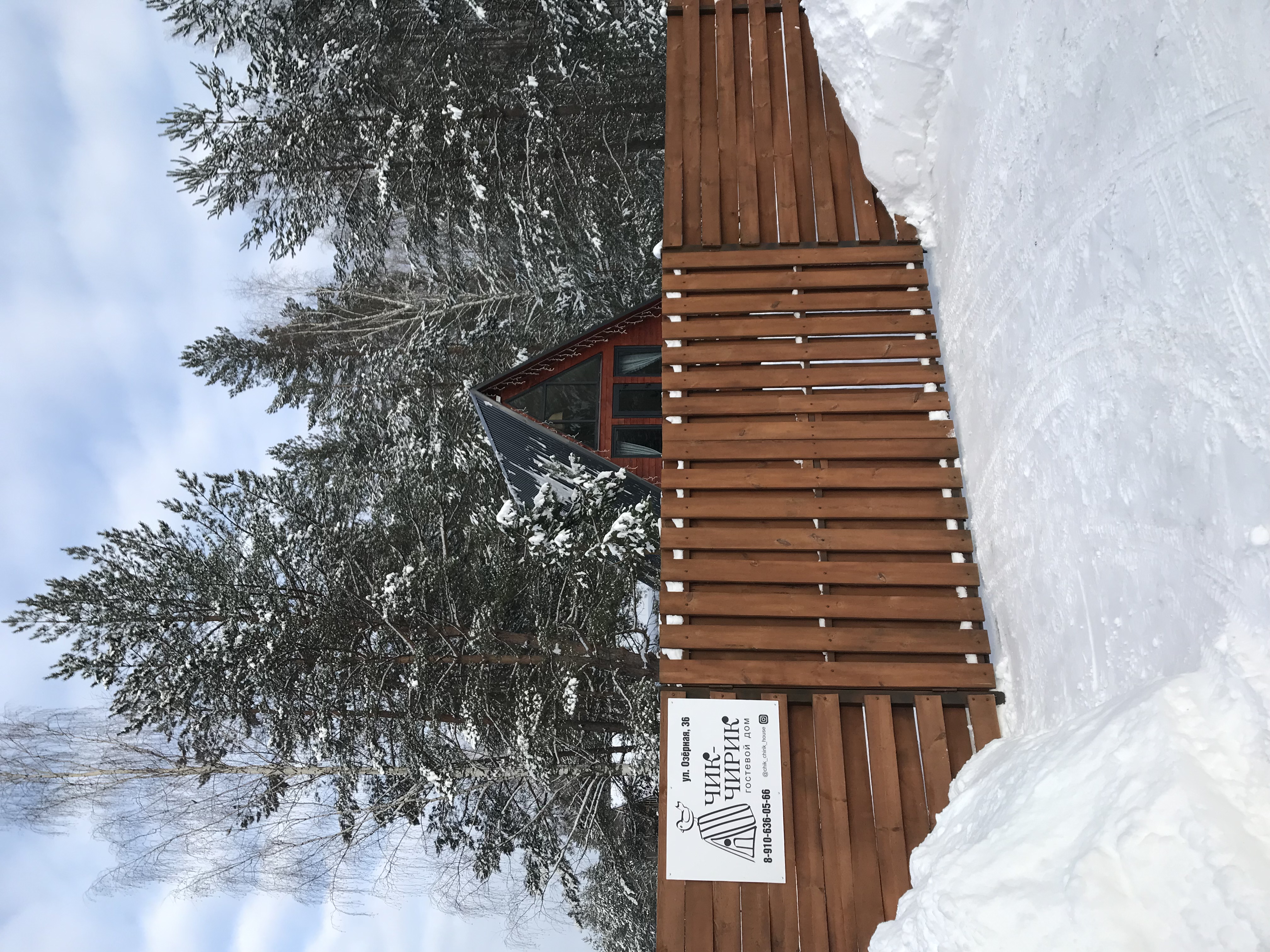 Фото Чик-чирик