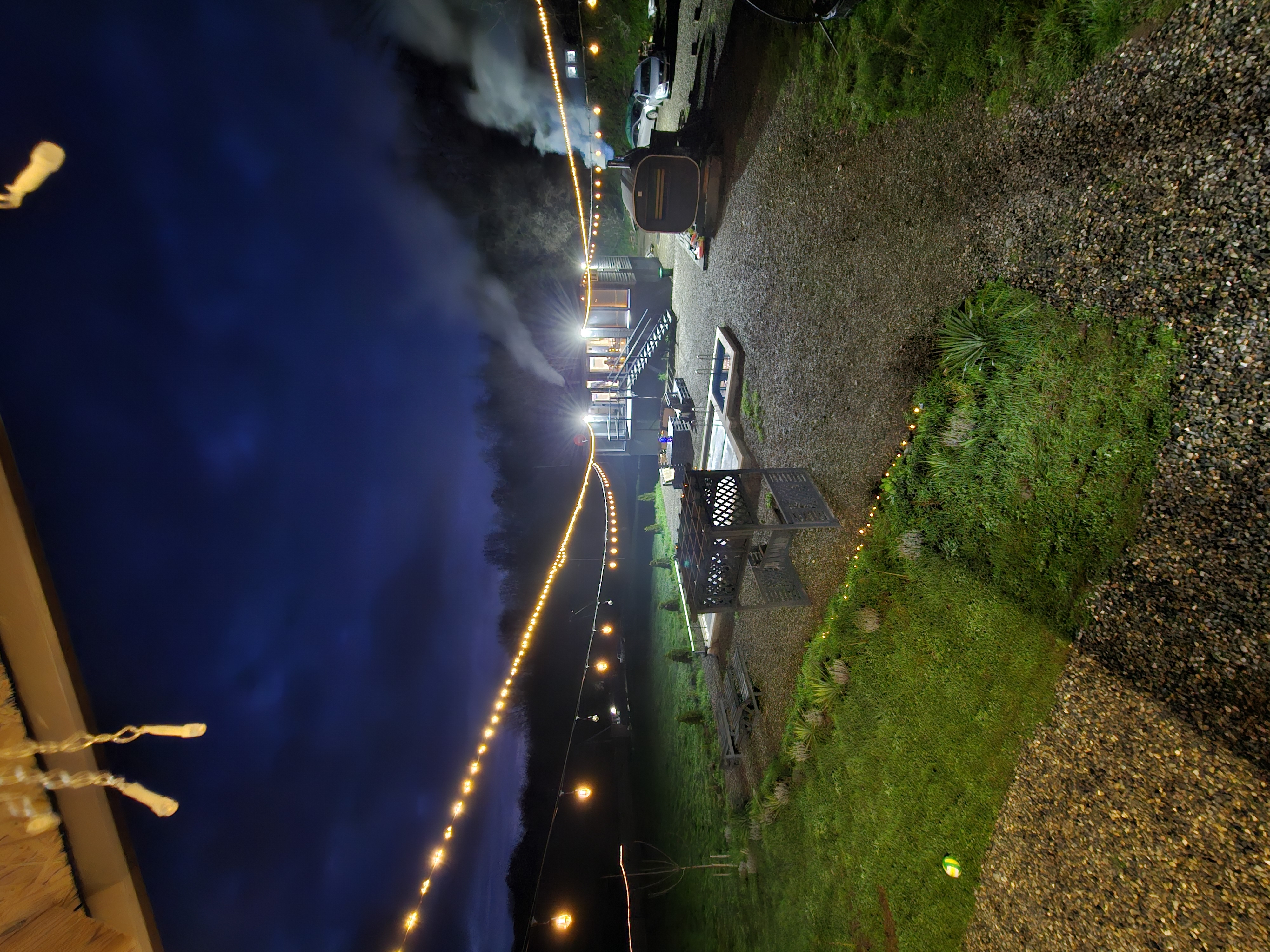 Фото Павлония