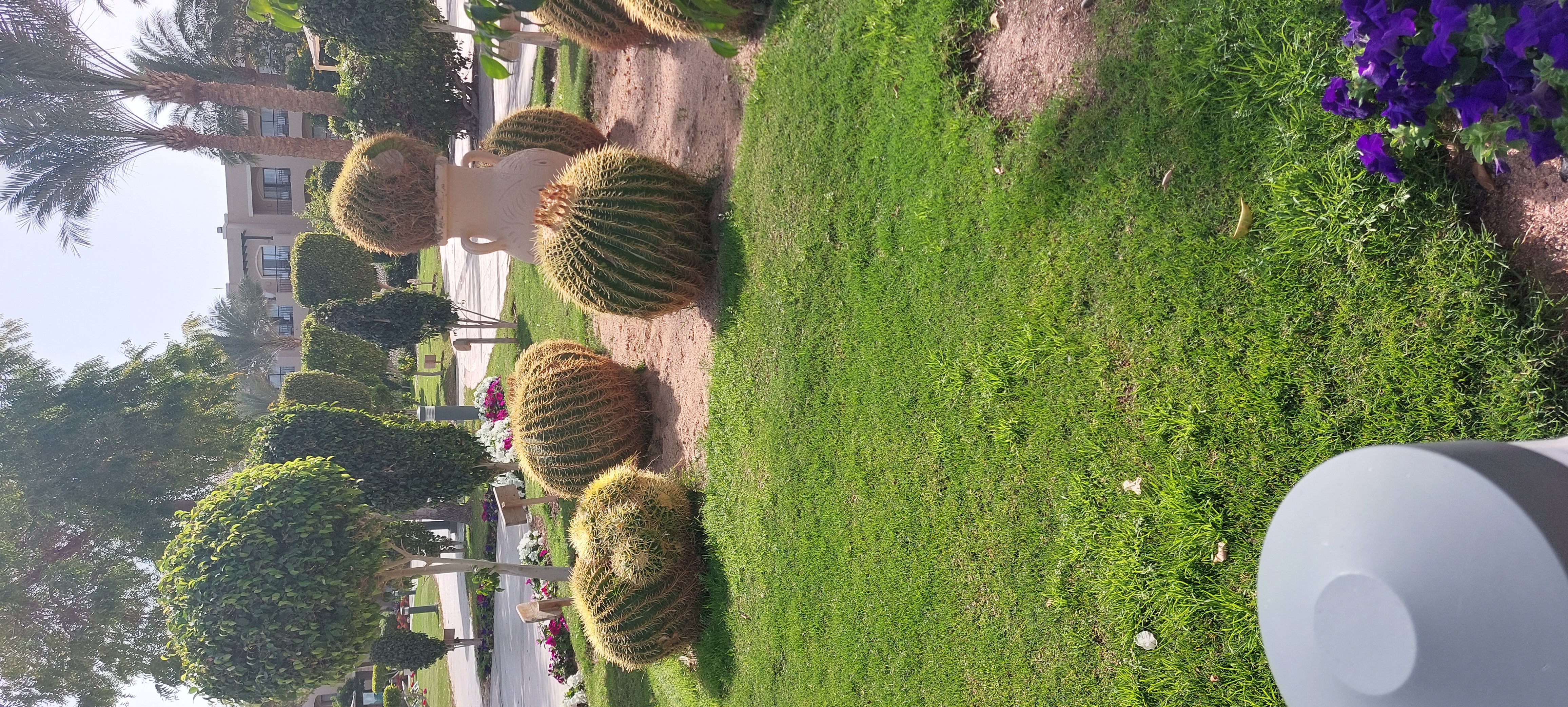 Фото Jaz Aquamarine