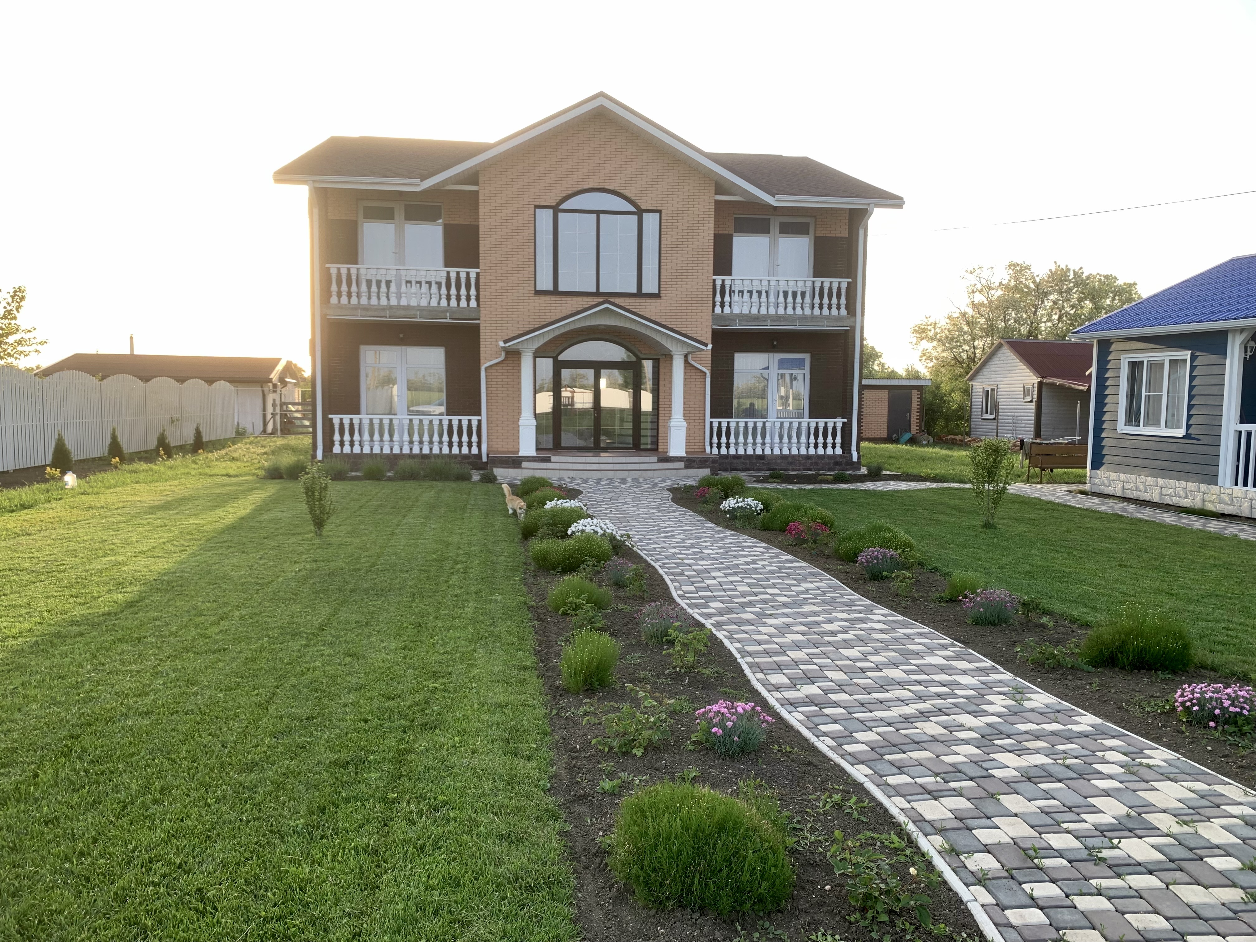 Фото Палисандр