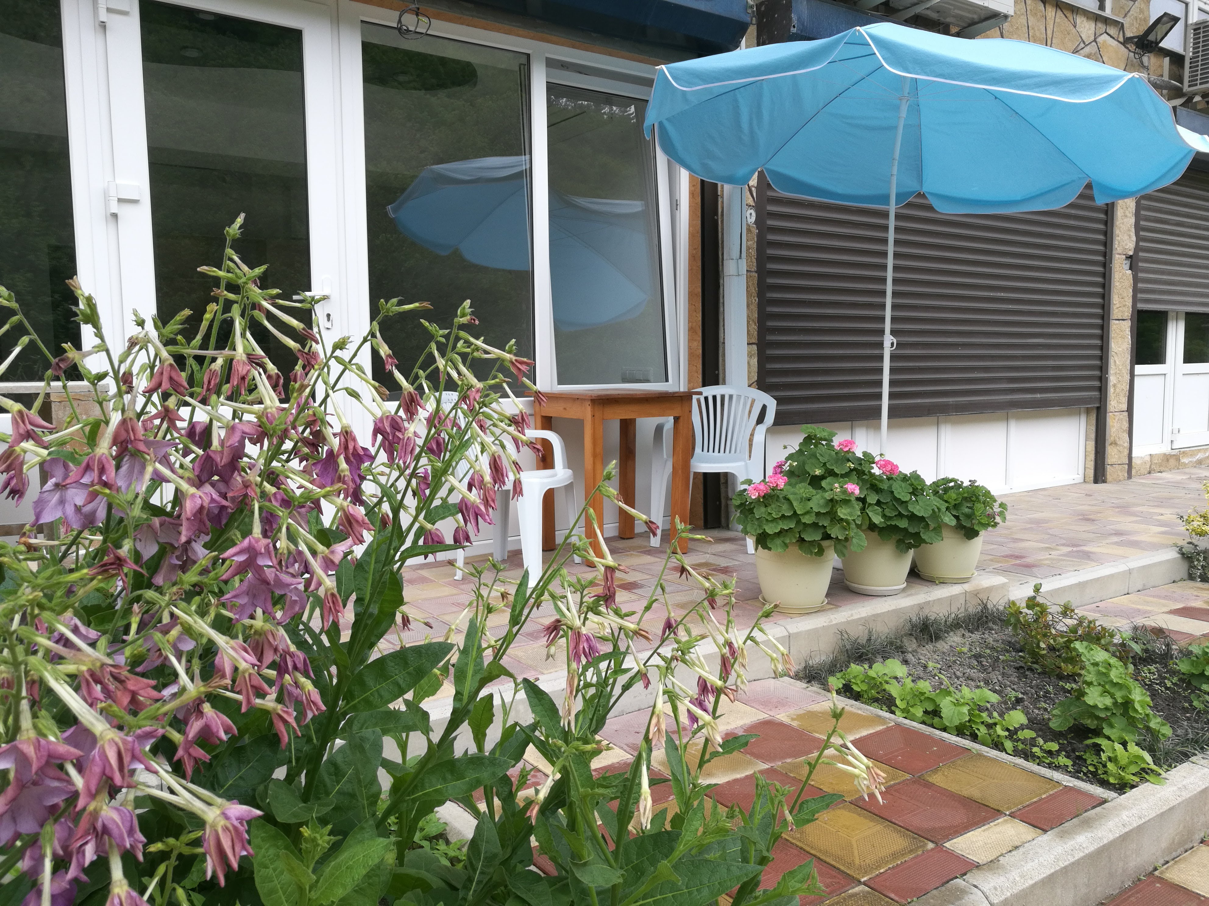 Фото Романтика