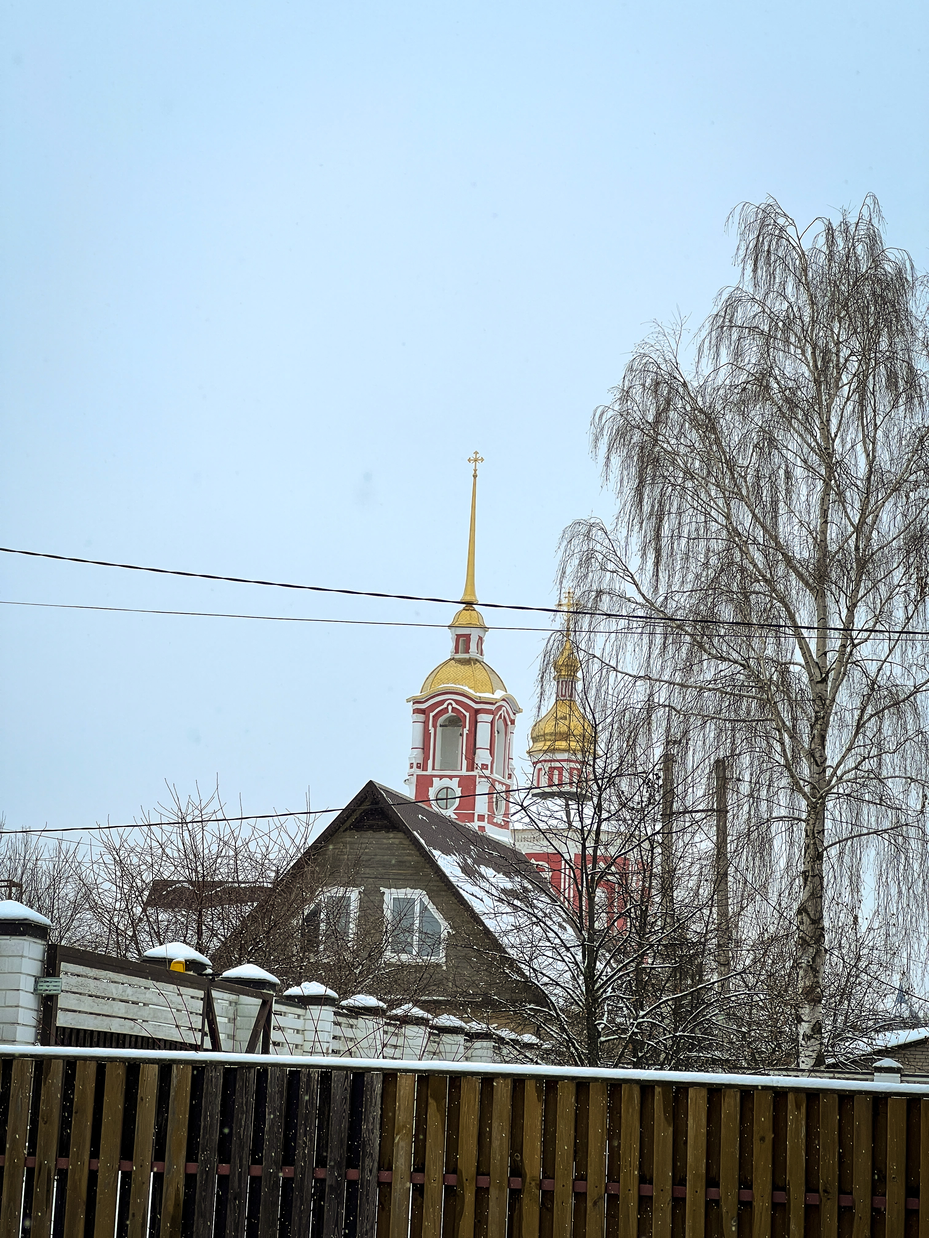 Фото У Мишутки