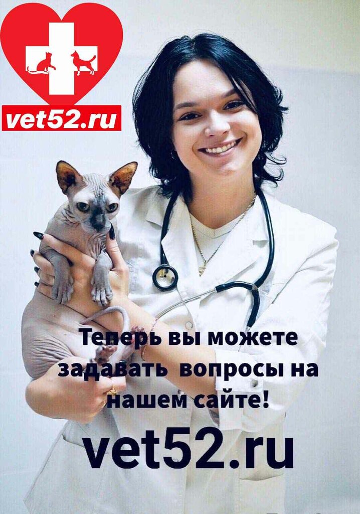 ветеринарная клиника — Ветеринар-НН — Нижний Новгород, фото №2