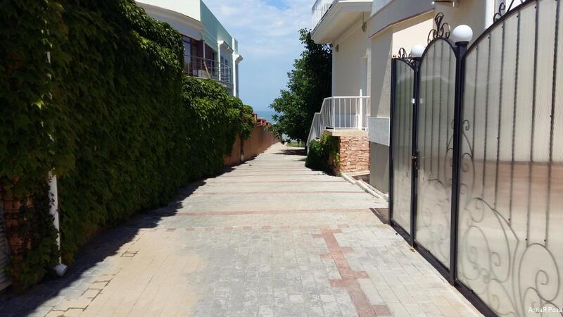 Фото АллаЯ Роза