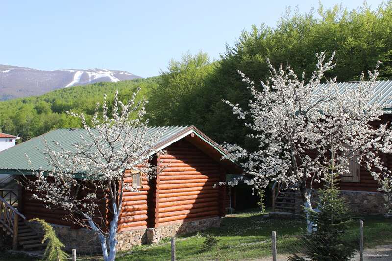 Фото Sfendamos Wood Village