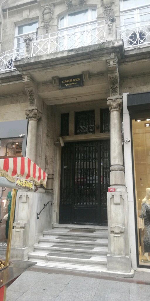 Business consulting Bims, Istanbul, photo