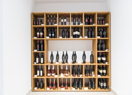 Фото Hotel Maestoso