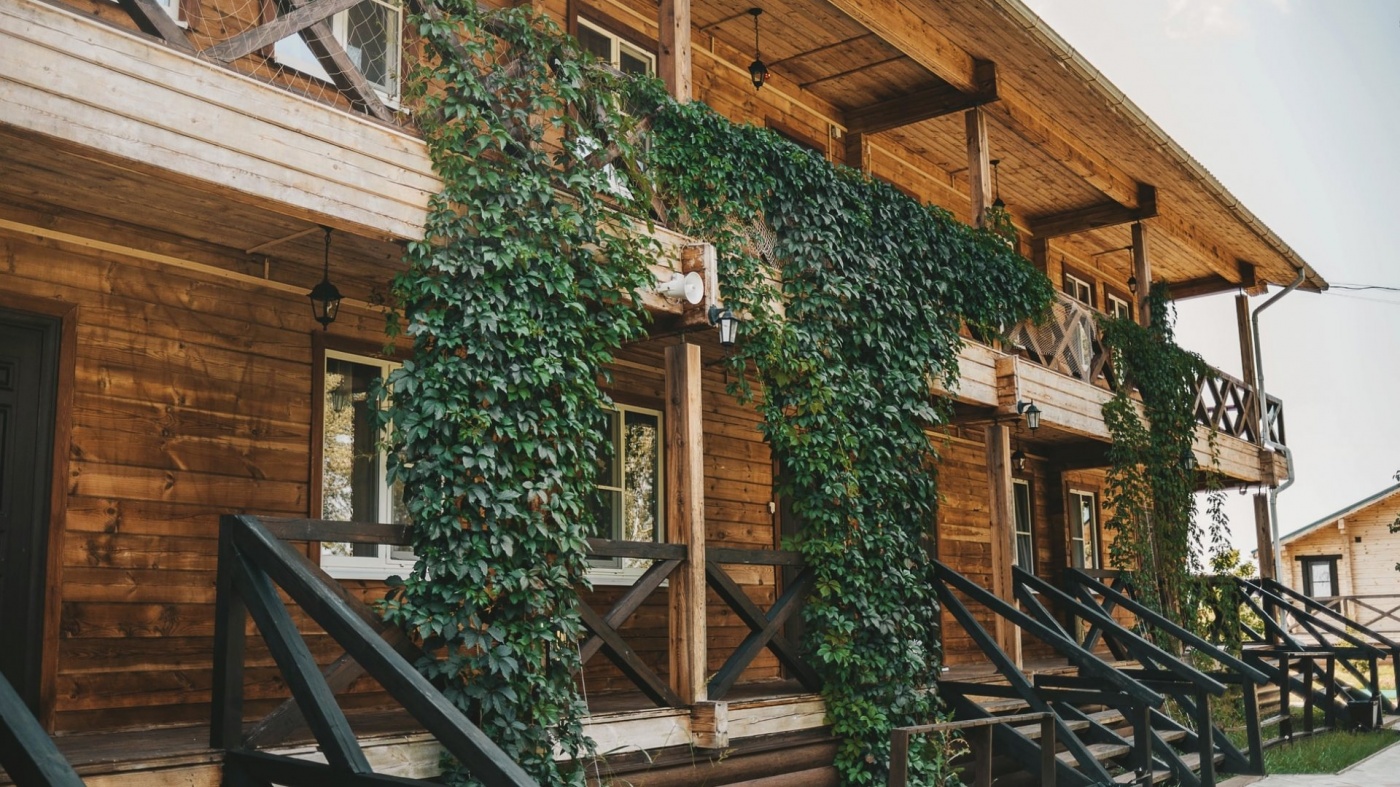 Фото Золотой Лотос