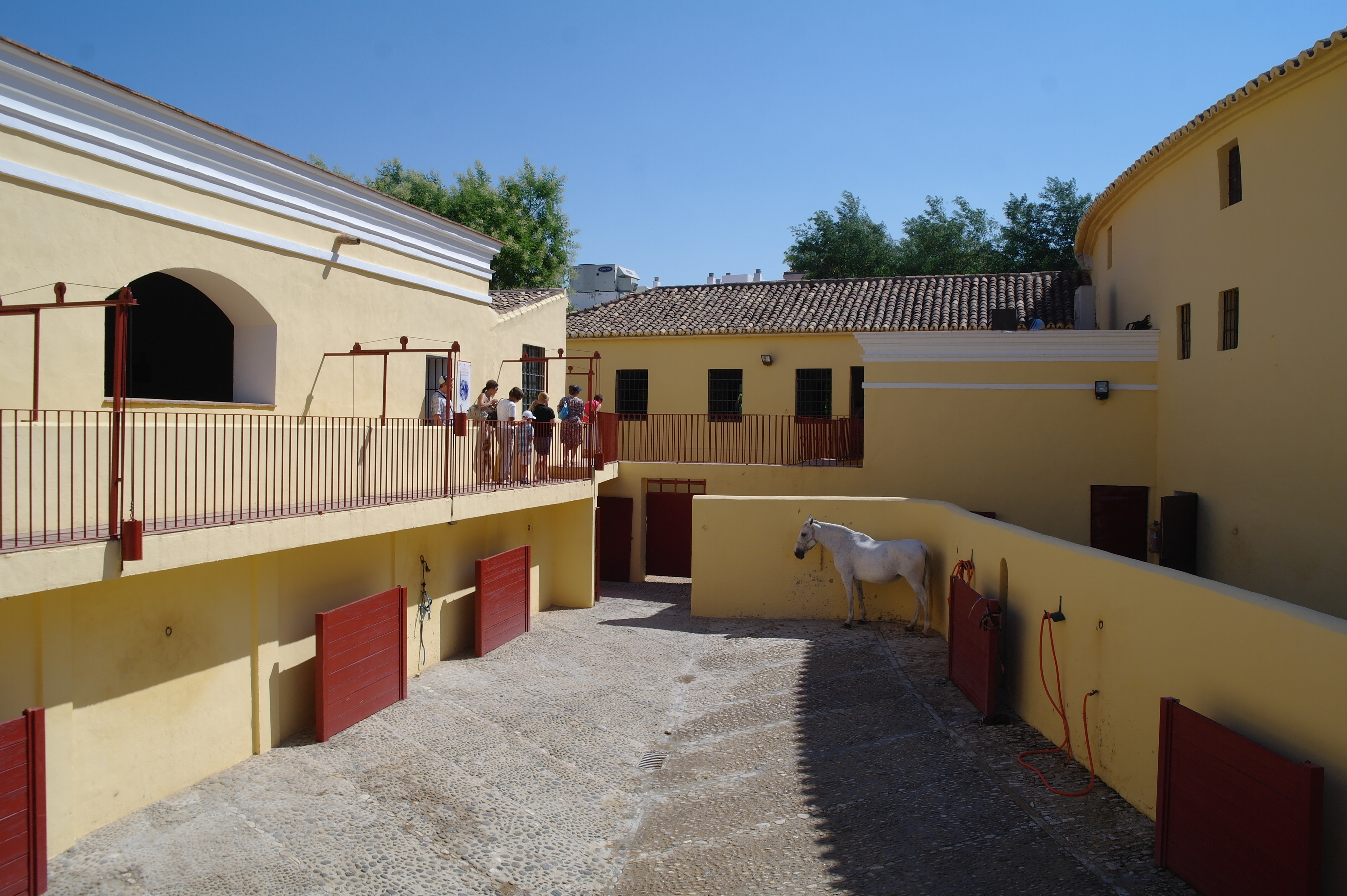 Фото Hotel Plaza de Toros