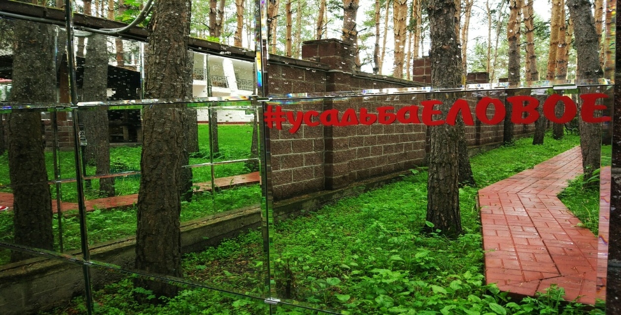 Фото Еловое