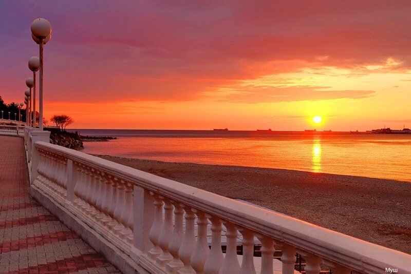 Фото Грин Лайн