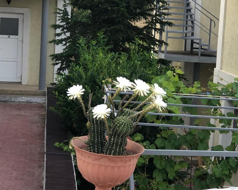 Фото 1000 Звёзд № 2