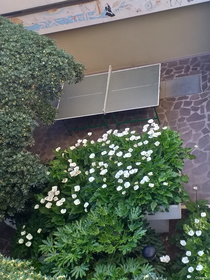 Фото Hotel Oceanic