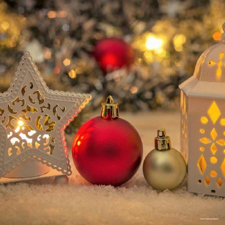 Фото Hotel Diplomat Marine