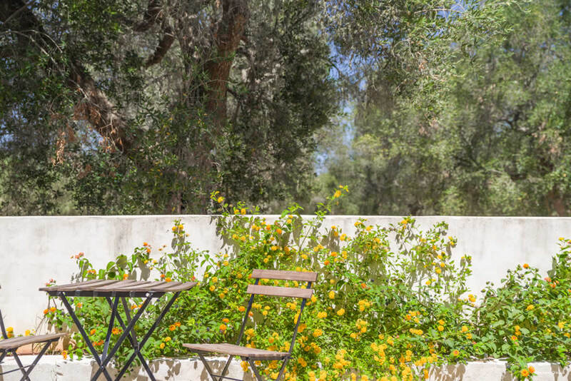 Фото Masseria La Gresca