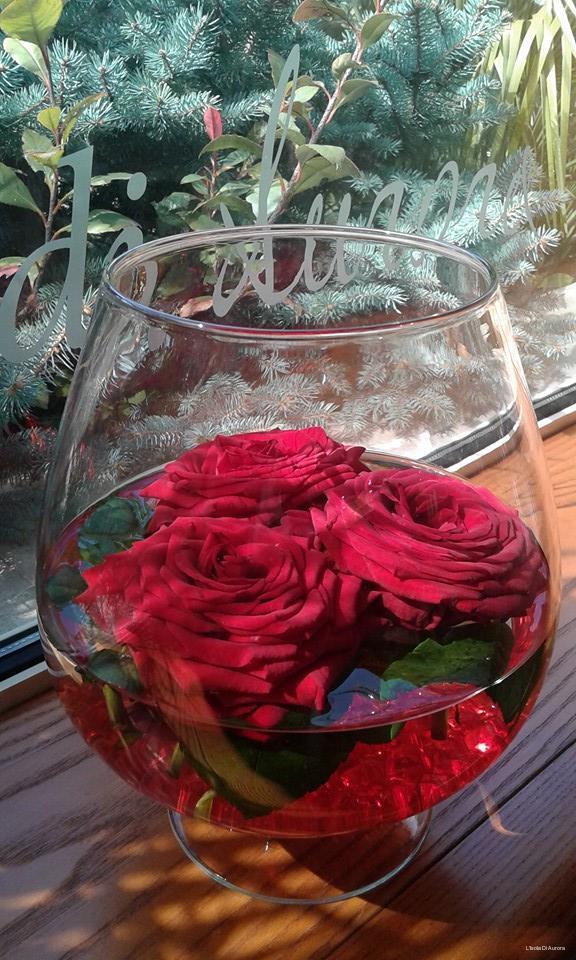 Фото L'Isola di Aurora