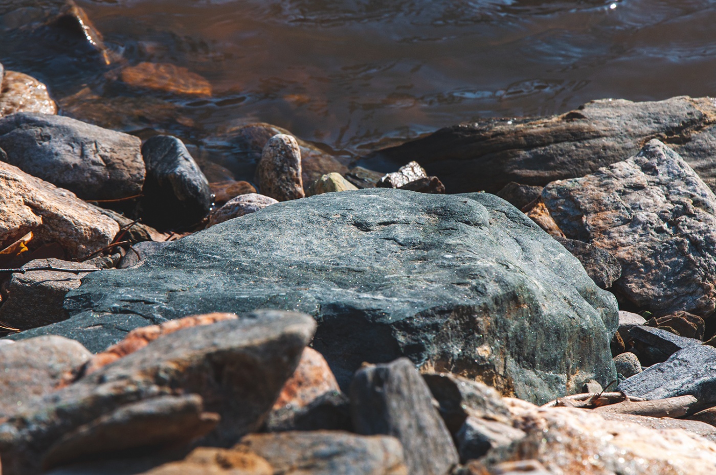 Фото Старые друзья Белокуриха