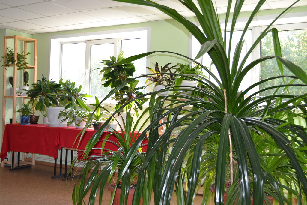 Фото Рассвет