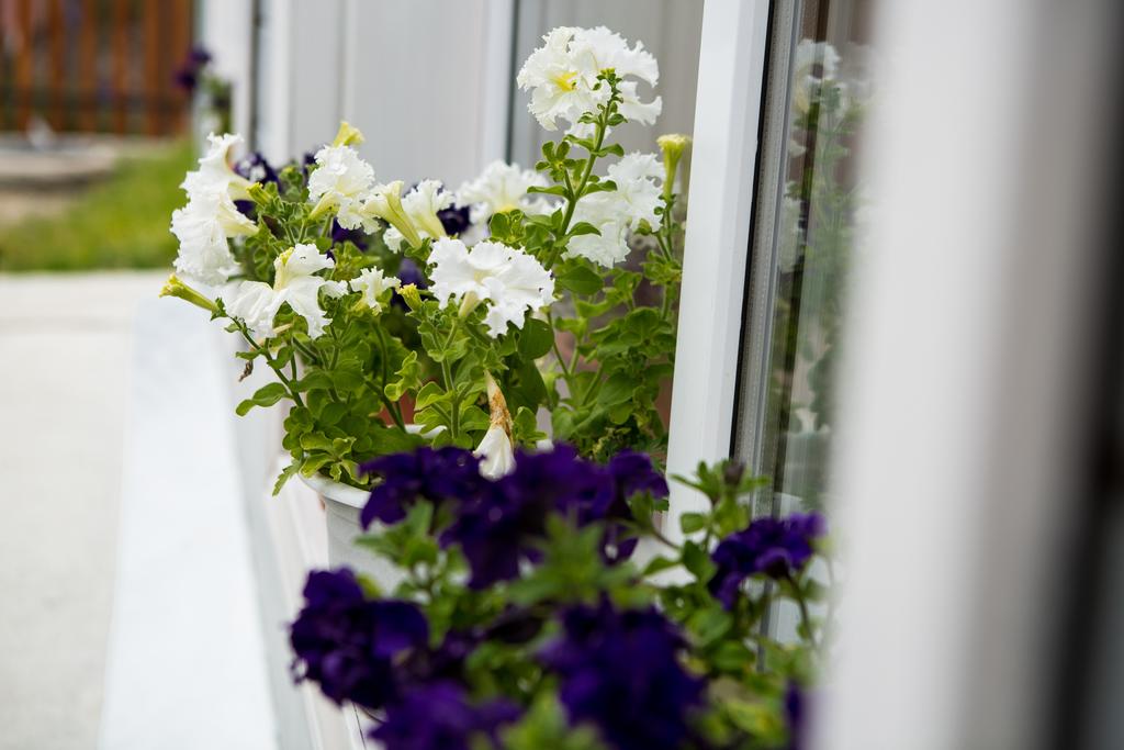 Фото Гавань Листвянка