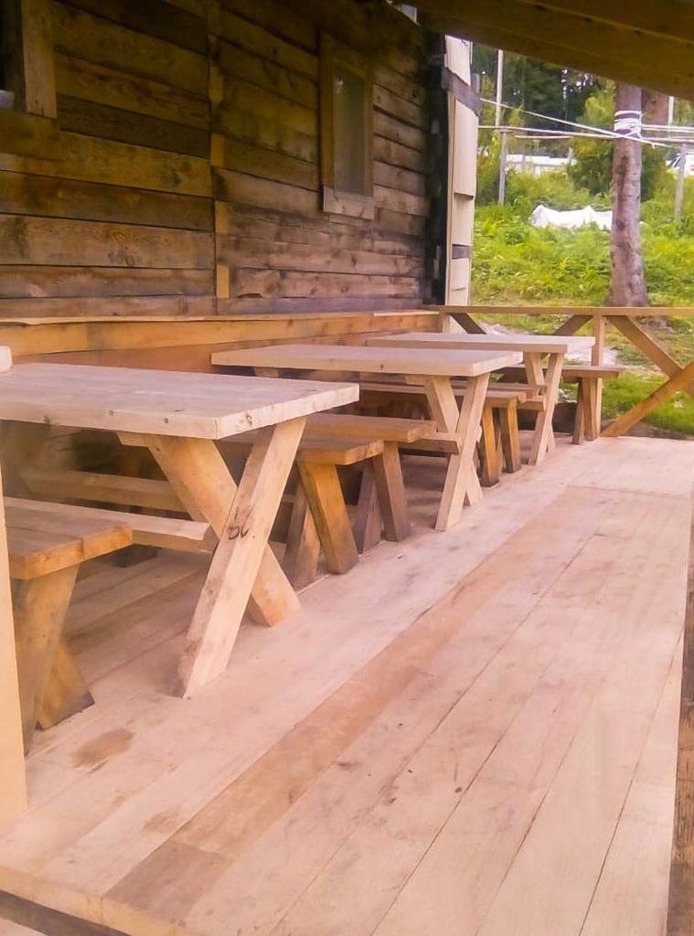 Фото Кедровый берег