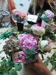 Полли (Lenina Avenue, 47), flowers and bouquets delivery