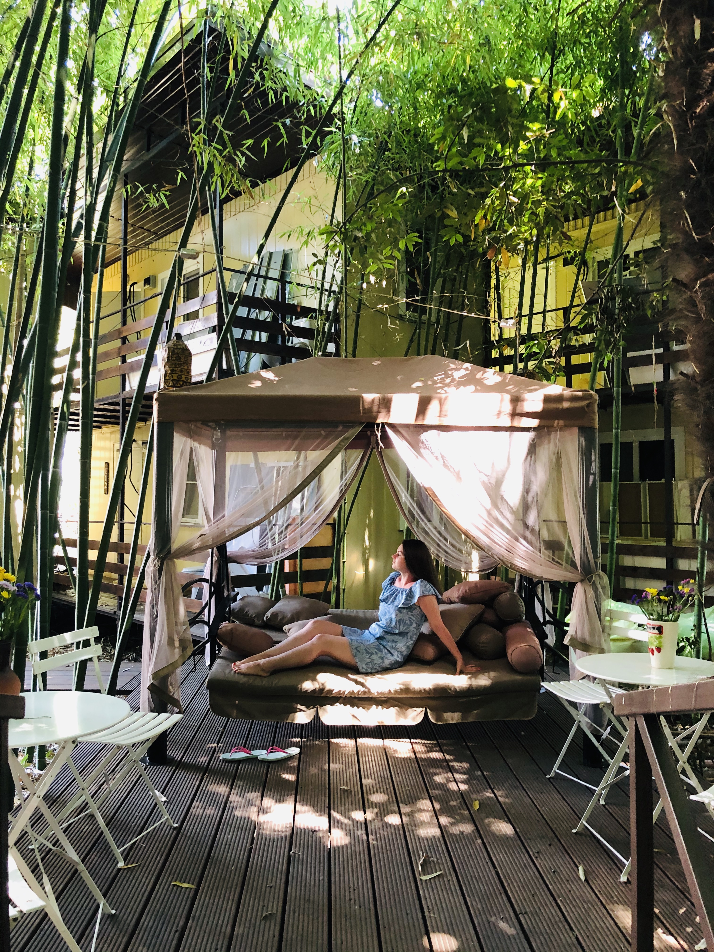 Фото Бамбук хутор