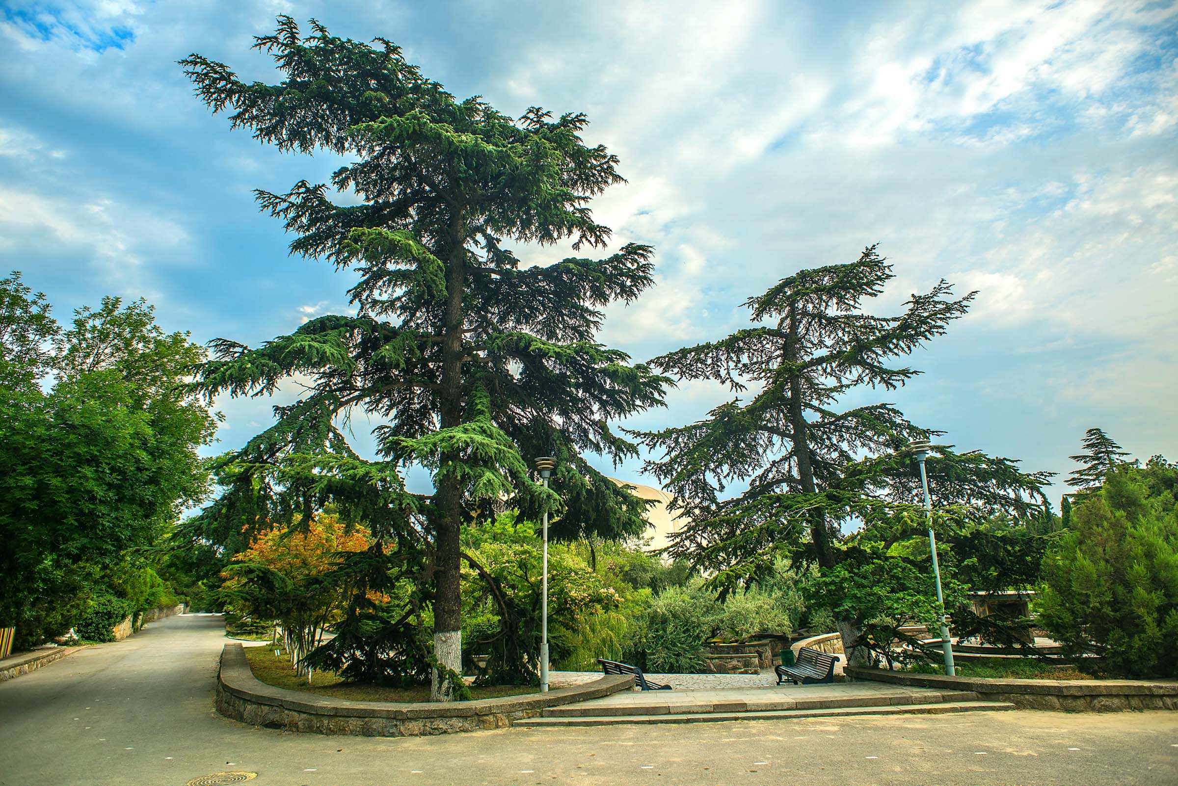 Фото ТОК Судак