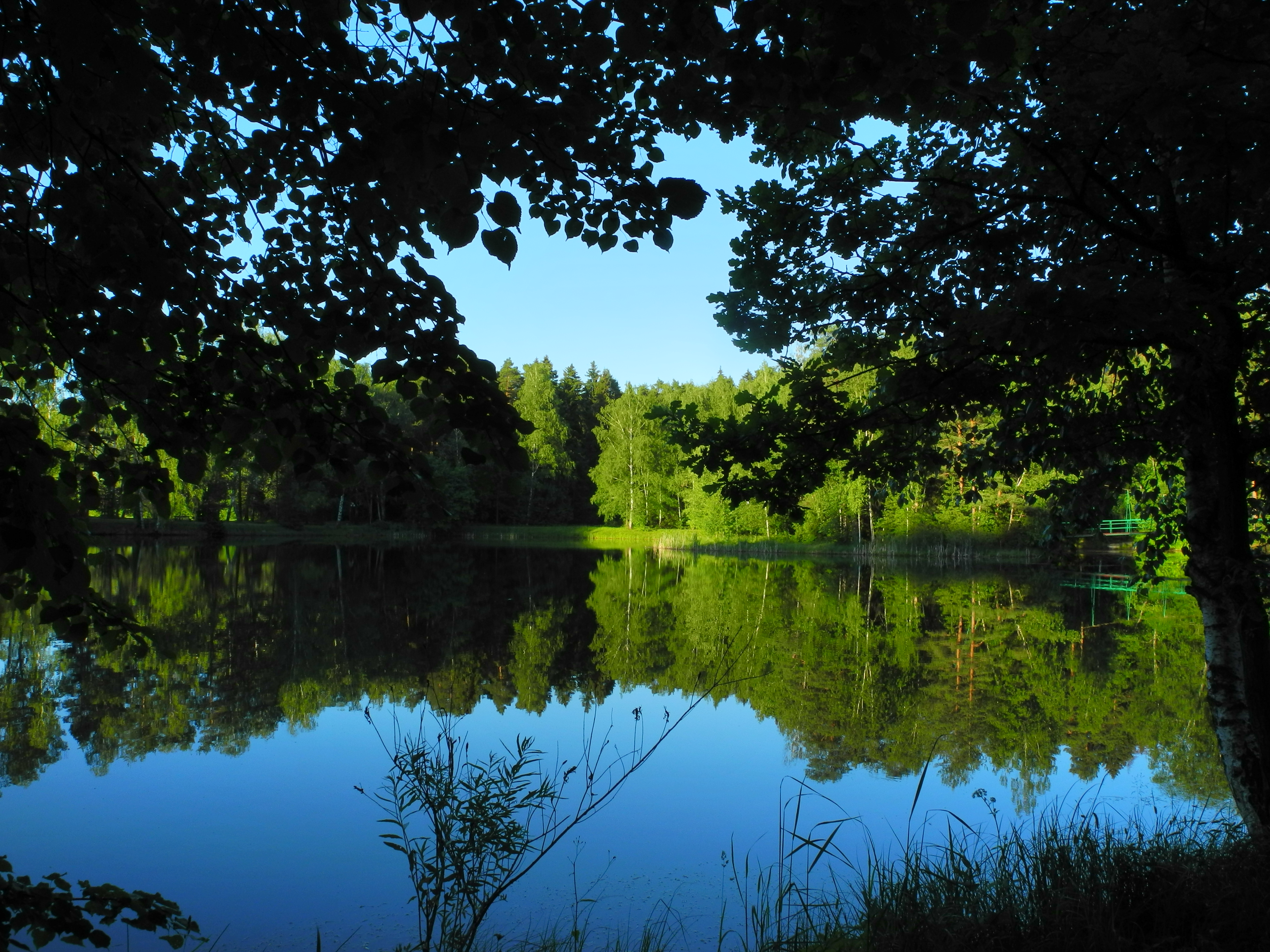 Фото Санаторий Пушкино