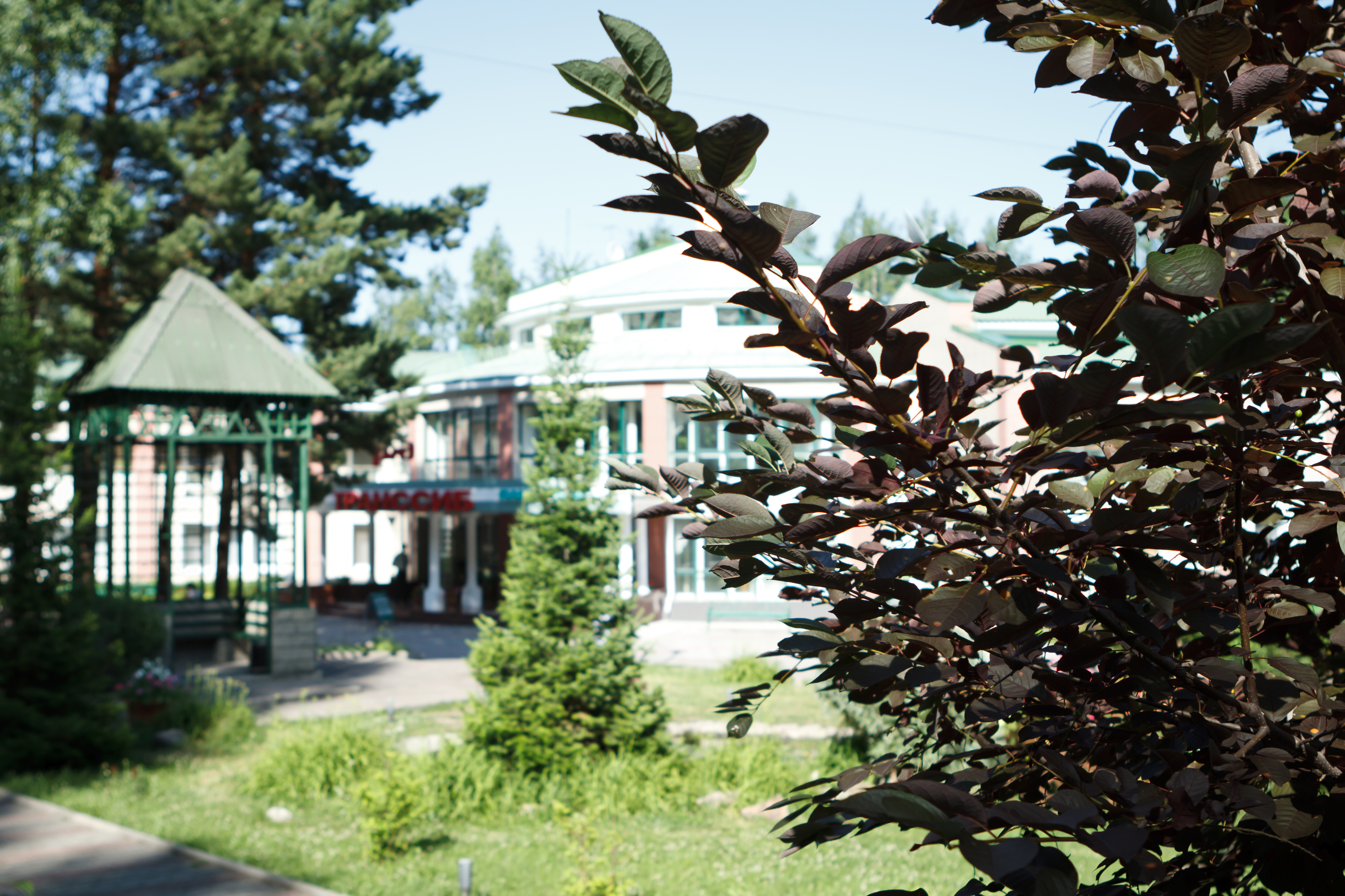 Фото Алтай West