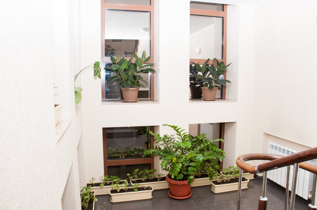 Фото Неолит