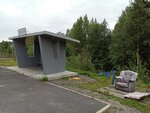 Танхой (Republic of Buryatia, Kabanskiy District, R-258 Baykal, 221-y kilometr), public transport stop
