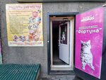 Klub Lyubitelskogo Sobakovodstva V Novosibirske (Leninskiy City Administrative District, mikrorayon Gorskiy, 61), zoo center
