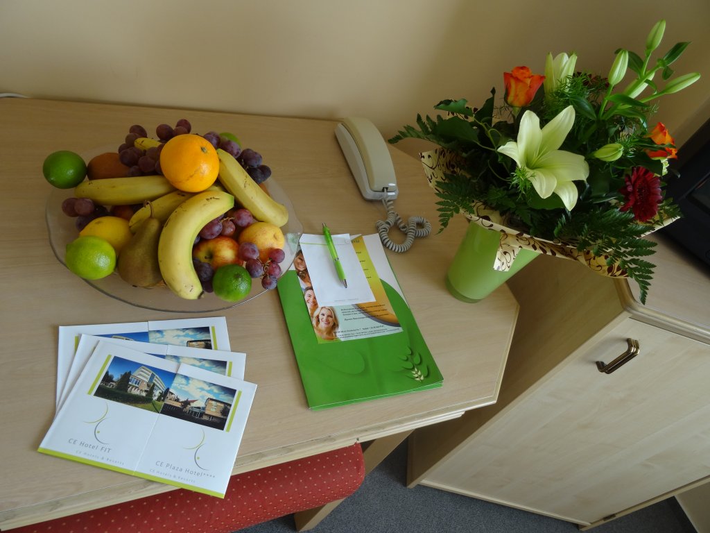 Фото Hotel Fit Heviz