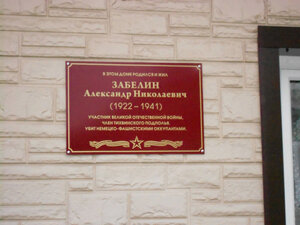 Дом А.Н. Забелина (derevnya Zabolotye, ulitsa Sashi Zabelina, 53), landmark, attraction