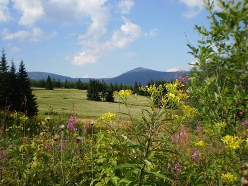 Фото Hotel Horizont